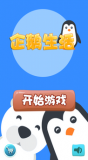 企鹅生活